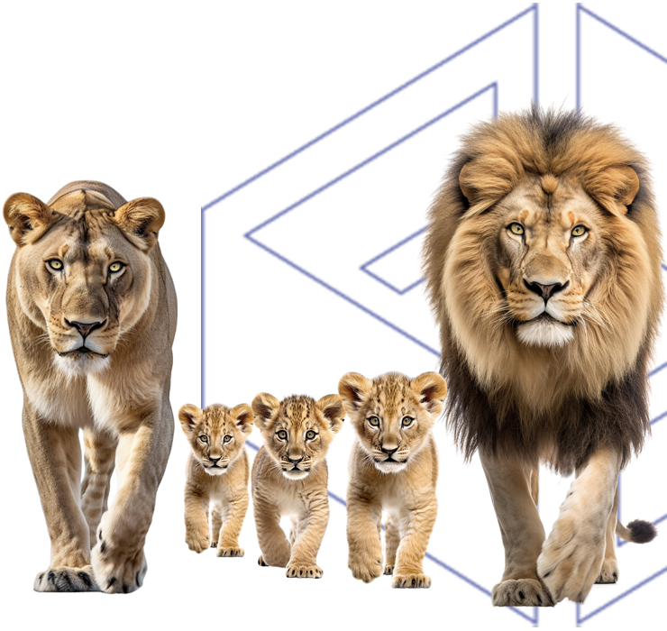 Familia de leones